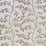 Lee Jofa Ava Nivelles Oyster Taupe Fabric Sample 2020174.106.0