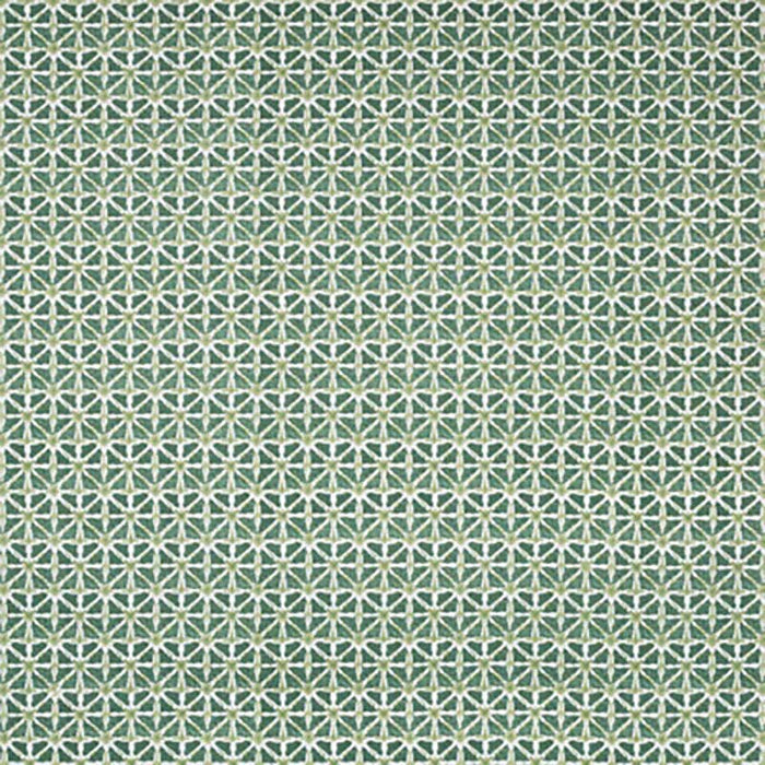 Lee Jofa Sylvan Print Aloe Fabric Sample 2020183.30.0