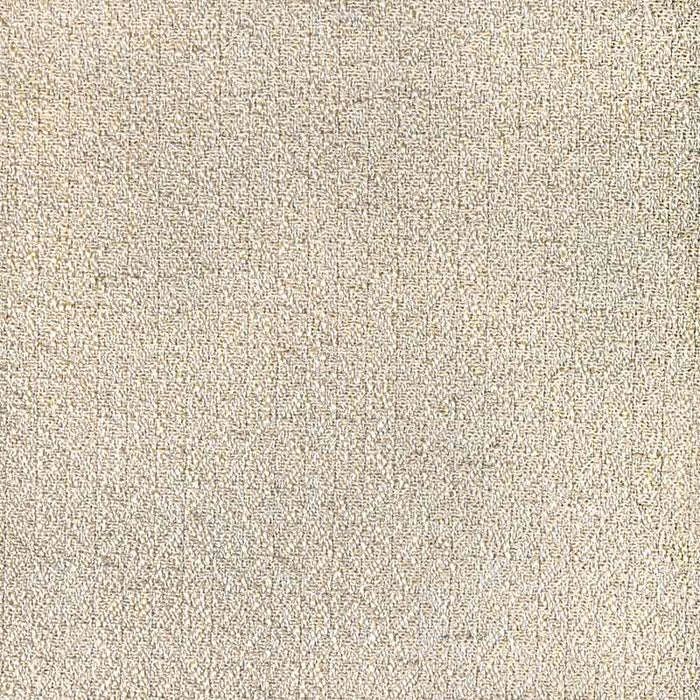 Lee Jofa Triana Weave Pearl Fabric Sample 2021105.16.0