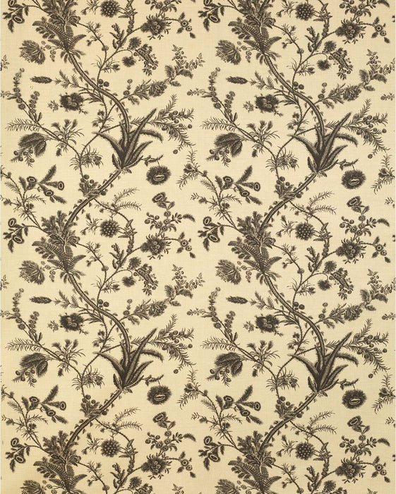 Lee Jofa Plumes Black Fabric Sample 2022123.816.0