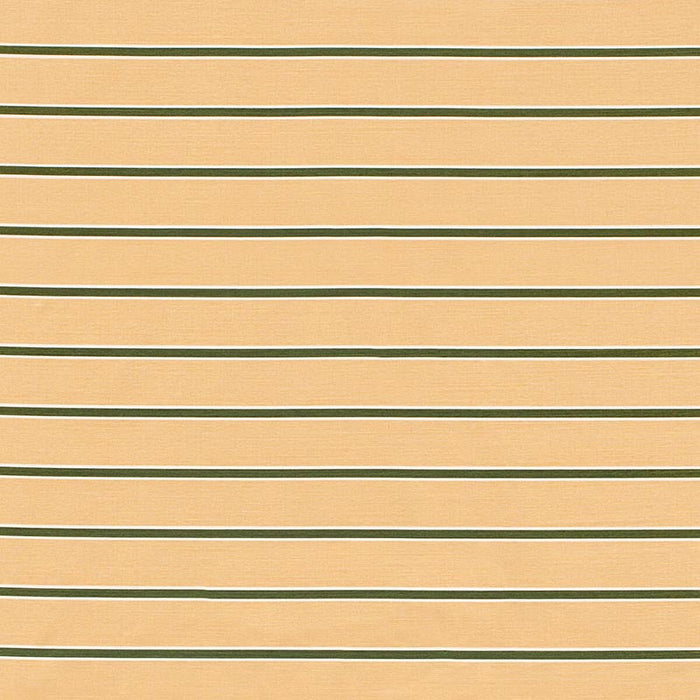 Lee Jofa Horizon Stripe Dkgreenblush Fabric Sample 2024105.73.0