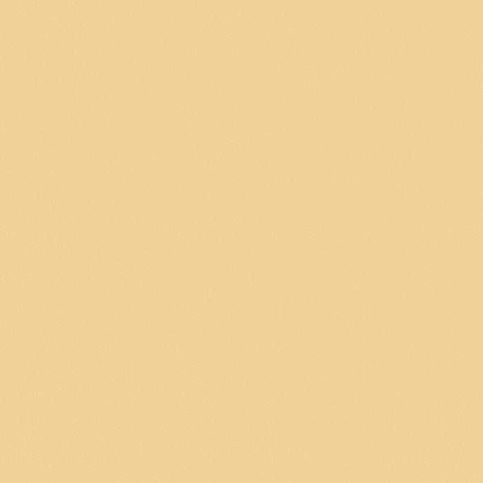 Lee Jofa Nuova Vita Linen Sand Fabric 2024109.1614.0
