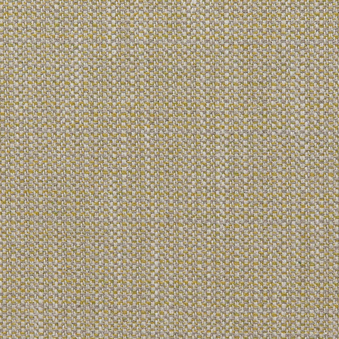Holly Hunt Great Plains Debonair Citrine Fabric Sample 2025/06
