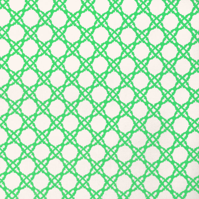 Lee Jofa Coastal Cane Green Fabric Sample 2025117.31.0