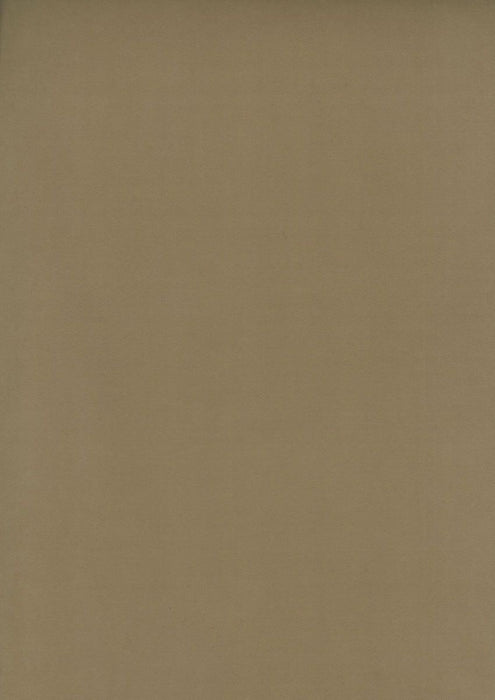 Osborne & Little Tarva Moleskin 13 Sample Sample F6421-13