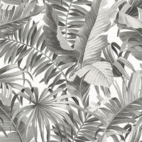 JF Fabrics 2258 97 Wallpaper 6038597