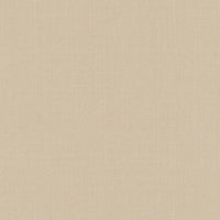 Schumacher Sargent Silk Taffeta Alabaster Fabric 22611