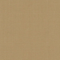 Schumacher Sargent Silk Taffeta Bamboo Fabric 22614