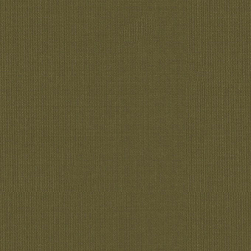 Schumacher Sargent Silk Taffeta Olive Fabric Sample 22656