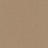 Schumacher Sargent Silk Taffeta Dove Fabric 22683