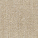 Brentano Catnap Lion Cub Fabric 2353-03