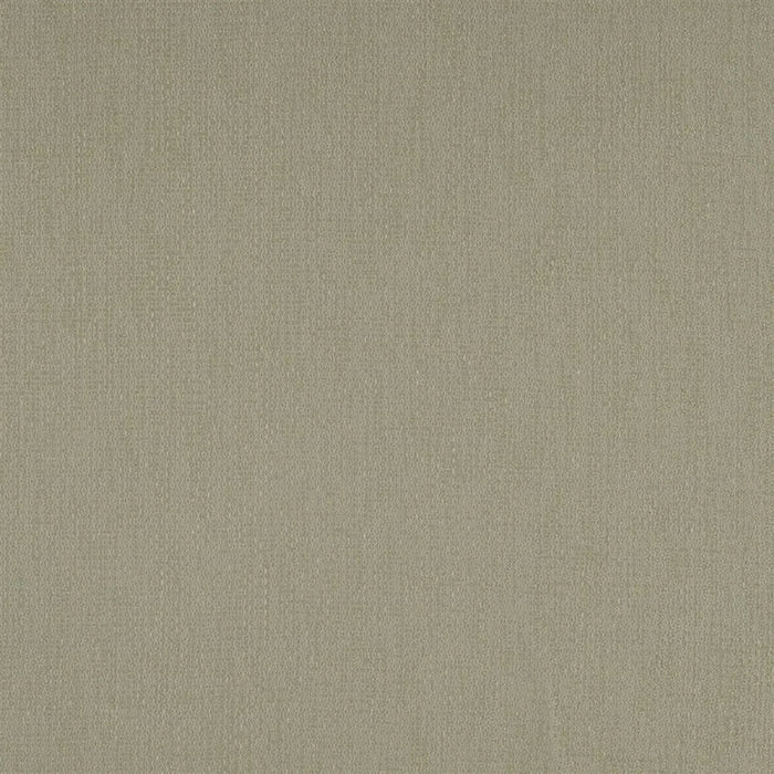 Designers Guild Abuna Driftwood Fabric Sample F1647-03