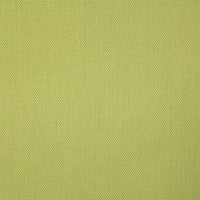 Pindler Callahan Parrot Fabric 2381