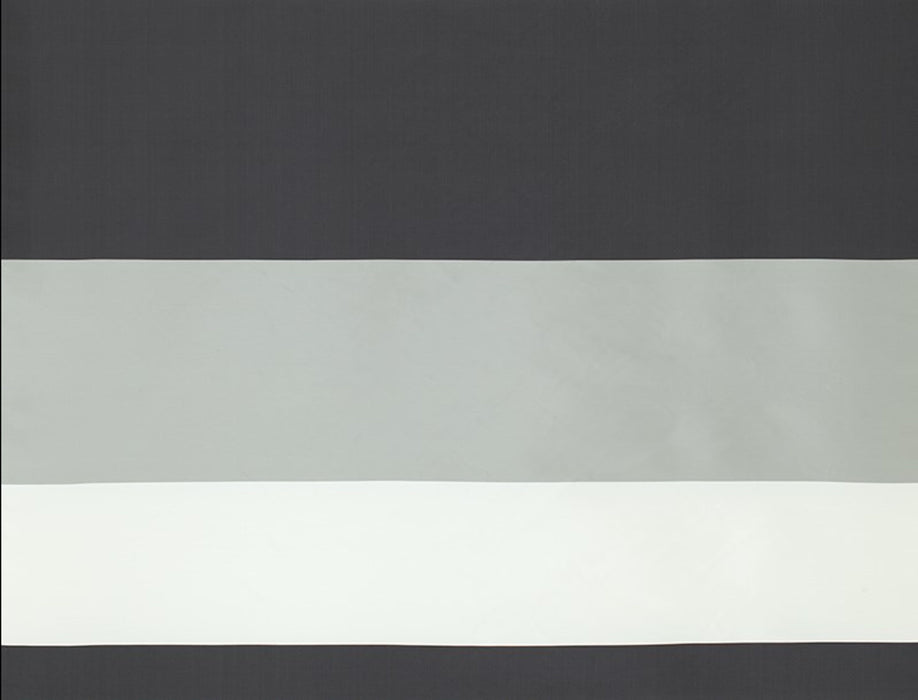 Jim Thompson Flags Champagne Fabric Sample JT013299006