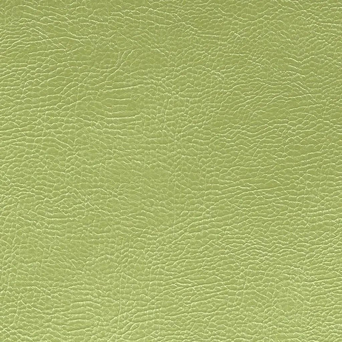 Designers Guild Mojave 21 Sample Sample FDG2167-21