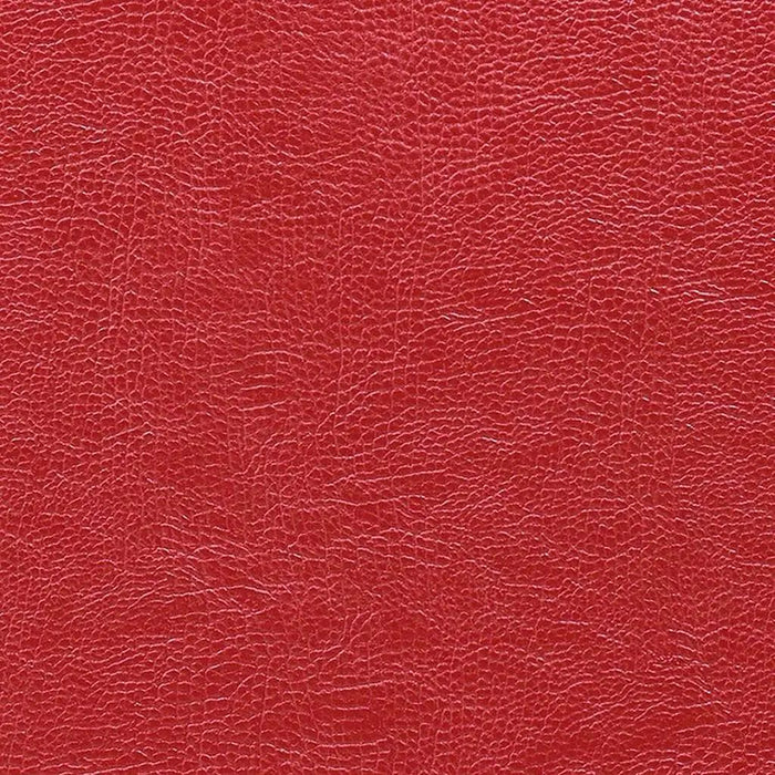 Designers Guild Mojave 24 Sample Sample FDG2167-24