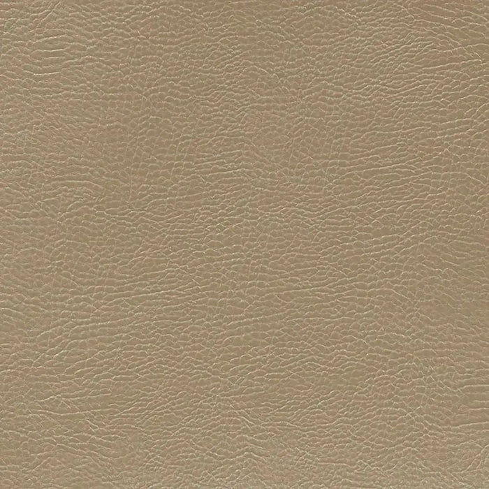 Designers Guild Mojave 36 Sample Sample FDG2167-36