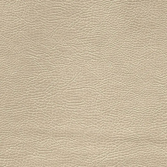 Designers Guild Mojave 38 Sample Sample FDG2167-38