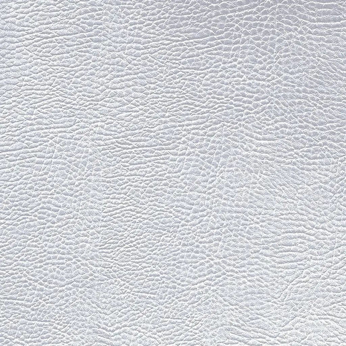 Designers Guild Atacama 1 Sample Sample FDG2168-01