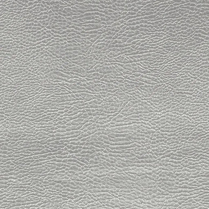 Designers Guild Atacama 2 Sample Sample FDG2168-02