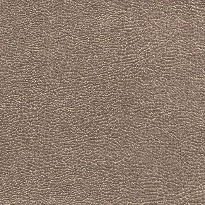 Designers Guild Atacama 7 Sample Sample FDG2168-07