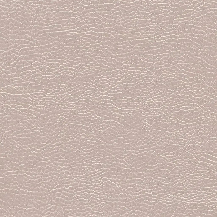 Designers Guild Atacama 9 Sample Sample FDG2168-09