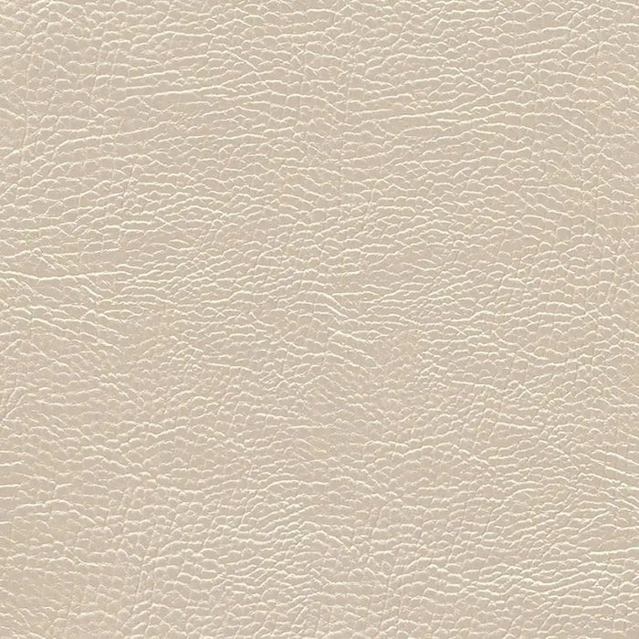 Designers Guild Atacama 12 Sample Sample FDG2168-12