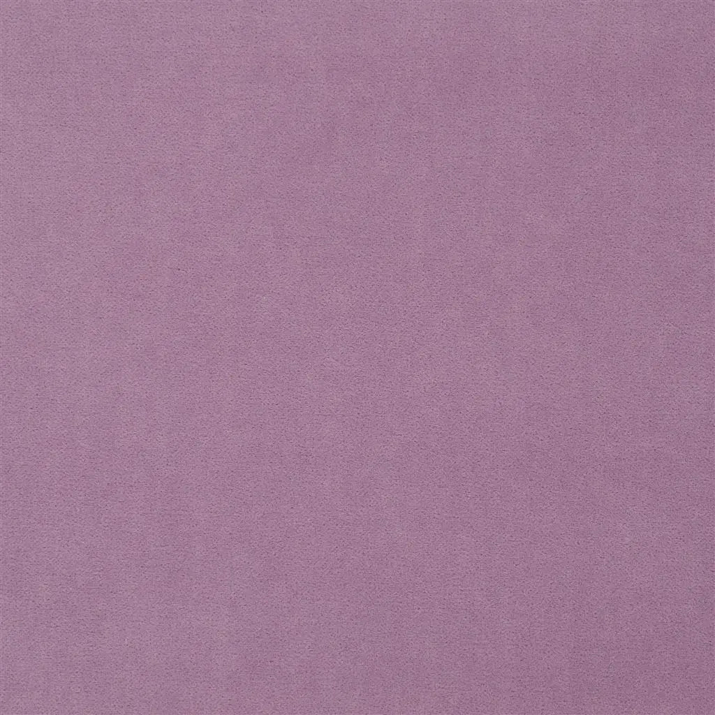 The Royal Collection Fabric