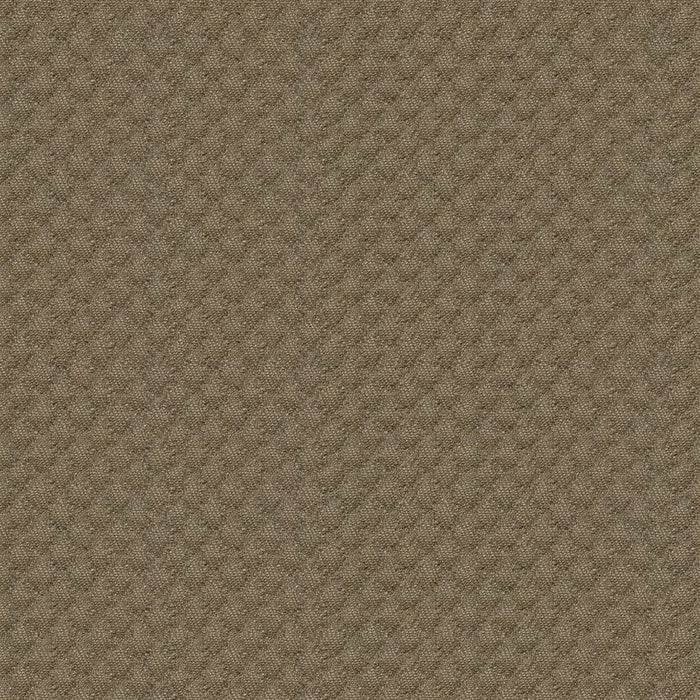 Kravet Design 25807.106.0 Fabric Sample