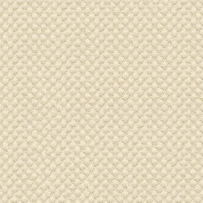 Kravet Design 25807 1116 Fabric Sample 25807.1116.0