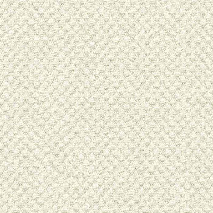 Kravet Design 25807 1 Fabric Sample 25807.1.0
