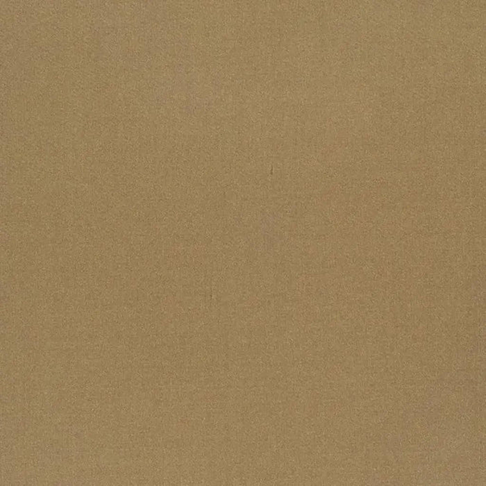 Designers Guild Tiber 60 Sample Sample F1736-60