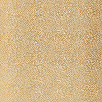 Schumacher Kyousha Silk Champagne Fabric 2644521