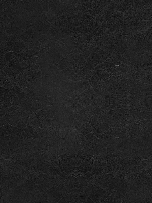 Osborne & Little Lyceum 10 Sample Sample F6280-10