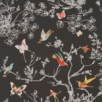 Schumacher Birds & Butterflies Graphite Wallpaper 2704422