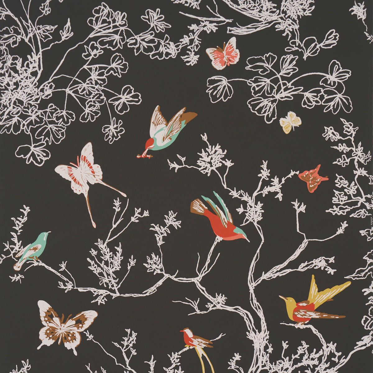 Schumacher Birds & Butterflies Graphite 2704424 Wallpaper | 40% Off ...