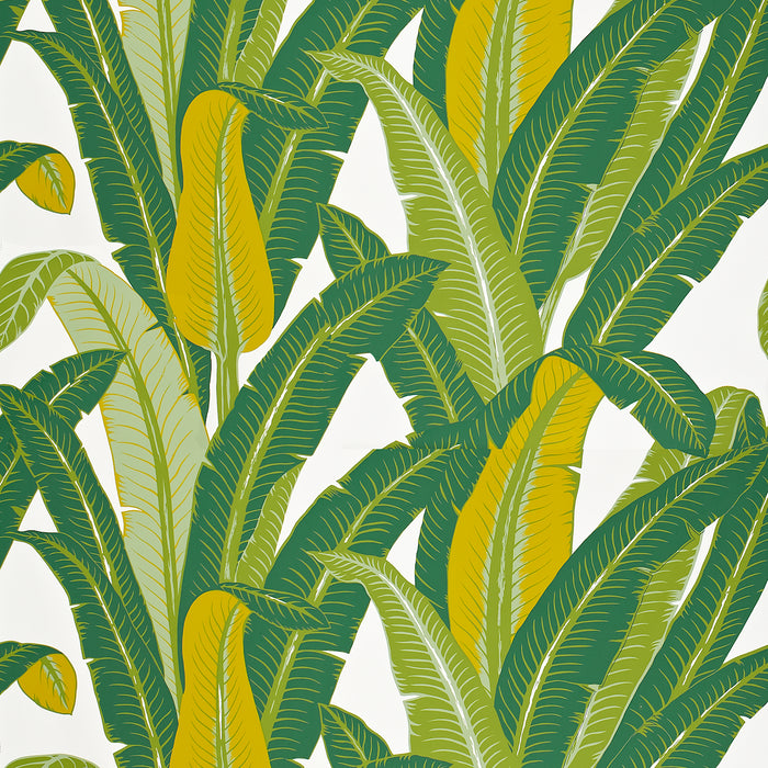 Schumacher Tropical Isle Green On White Wallpaper Sample 2707230