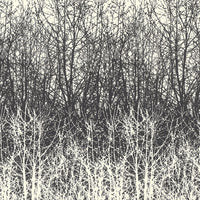 Schumacher Birches Black/White Wallpaper 2707243