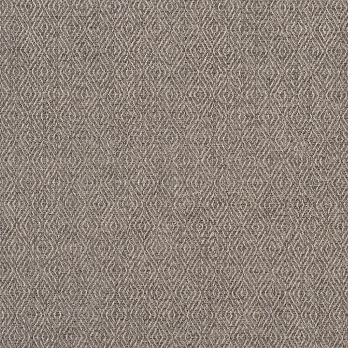 Charlotte 2913 Flannel Fabric Sample