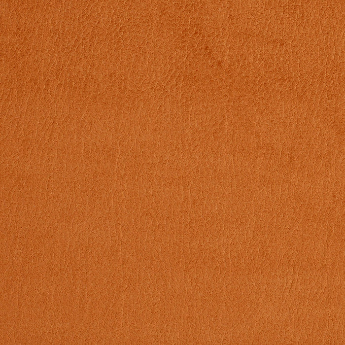 Charlotte 2920 Apricot Fabric