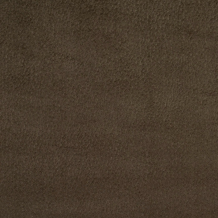 Charlotte 2925 Charcoal Fabric Sample