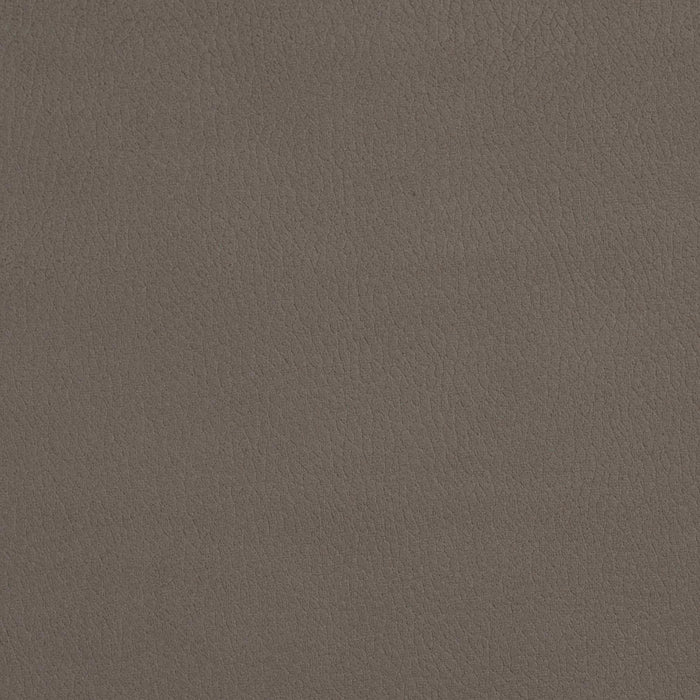Charlotte 2927 Moonstone Fabric Sample