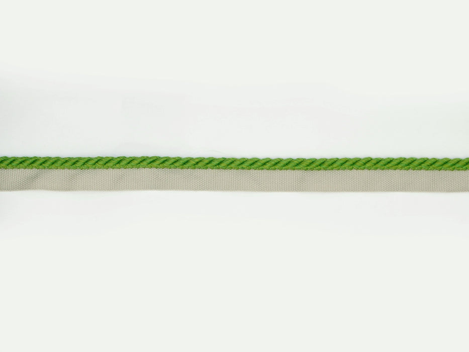 Jim Thompson Solstice Cord On Tape Palm Leaf Trim Sample JT030064016