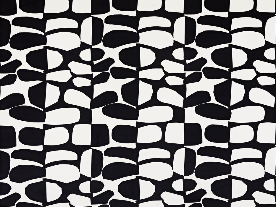 Pierre Frey Small Surprise Noir & Blanc Fabric Sample F3486001