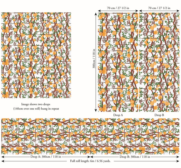 Jim Thompson Garden Party  (Sisalgrasscloth) Orangerie Wallpaper Sample JT021076002