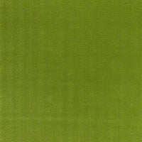 Designers Guild Riolo Grass Fabric FT2026-03