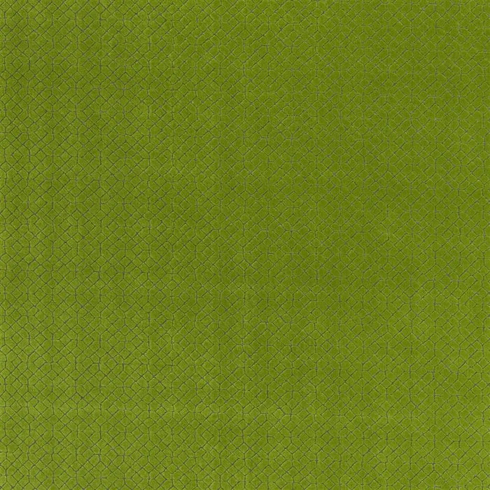 Designers Guild Riolo Grass Fabric Sample FT2026-03