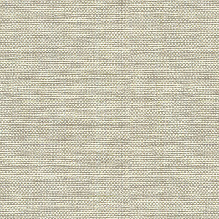 Kravet Basics 30299 106 Fabric Sample 30299.106.0
