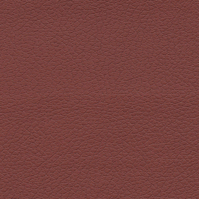 Schumacher Brisa Raisin Fabric Sample 303-1373