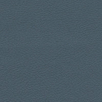 Schumacher Brisa Federal Fabric 303-2645
